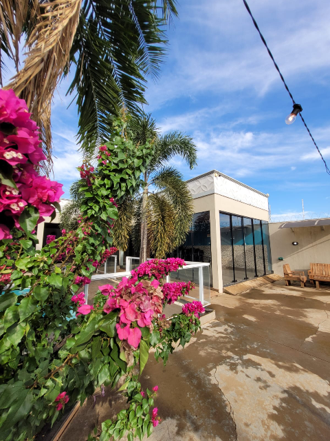 Casa no Nova Três Lagoas